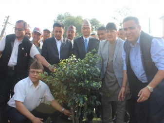 निजामती सेवा दिवस २०७४ को उपलक्ष्यमा गरिएको वृक्षारोपण कार्यक्रम |